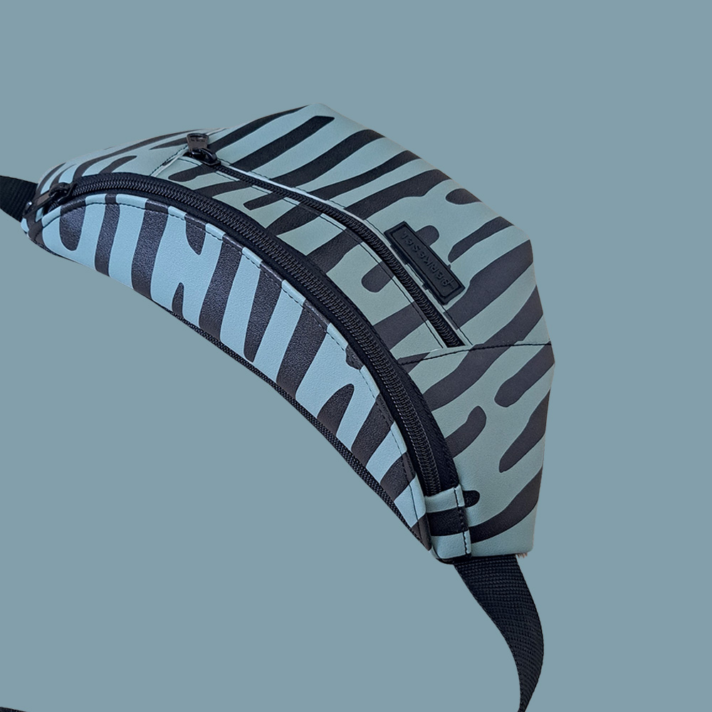 zebra2